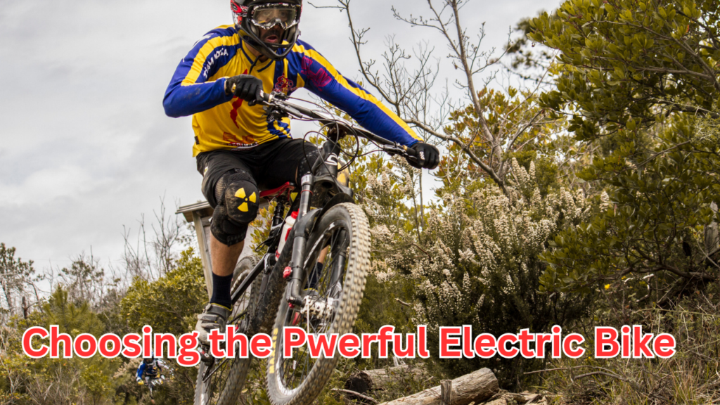 Powerful E-Bike