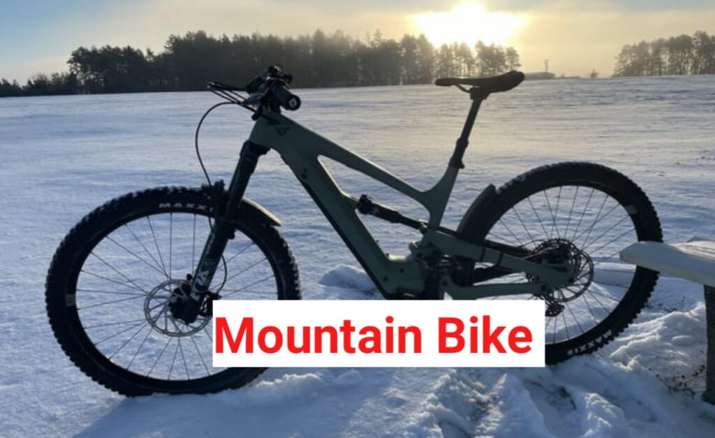 Mountain E-Bikes 