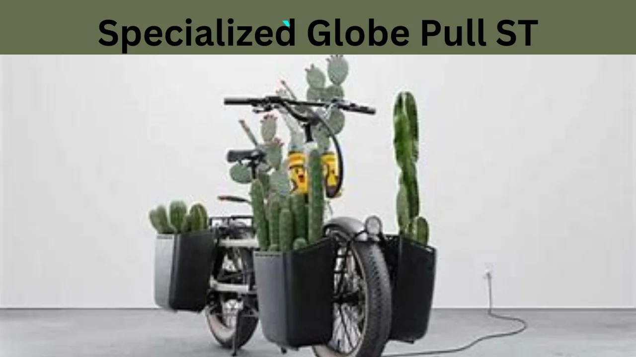 Specialized Globe Pull ST