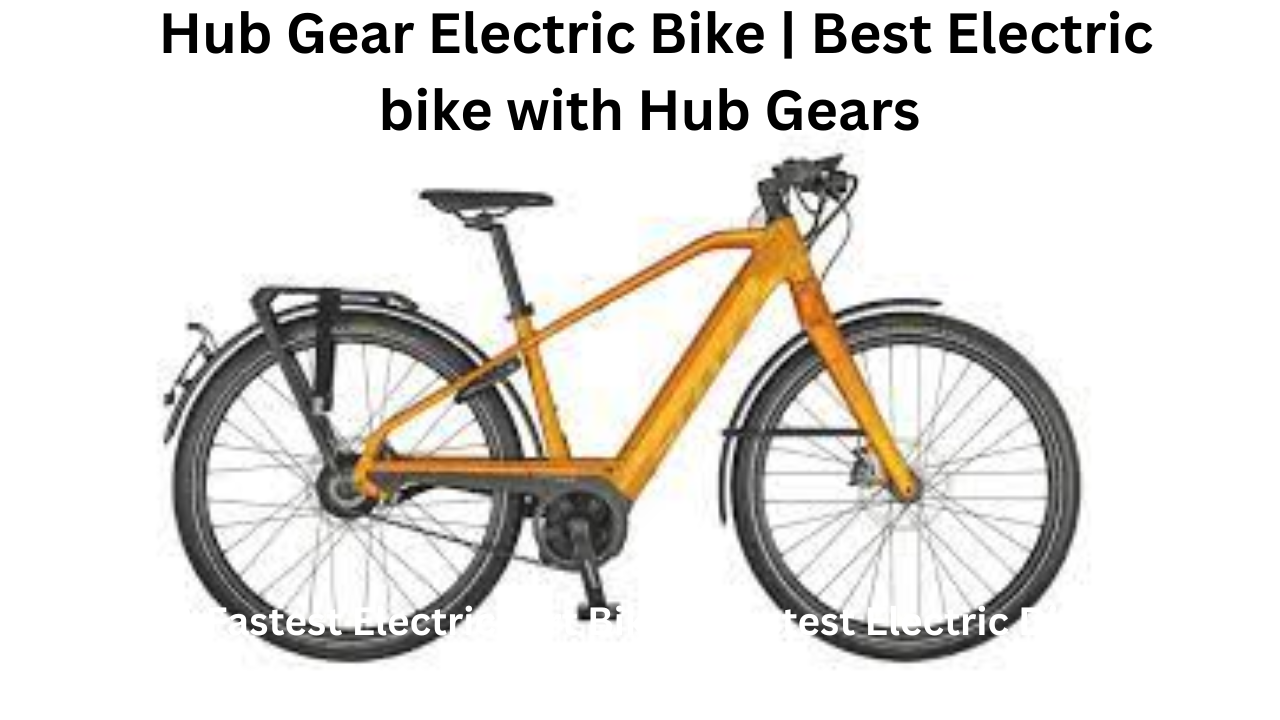 Hub Gear Electric Bike