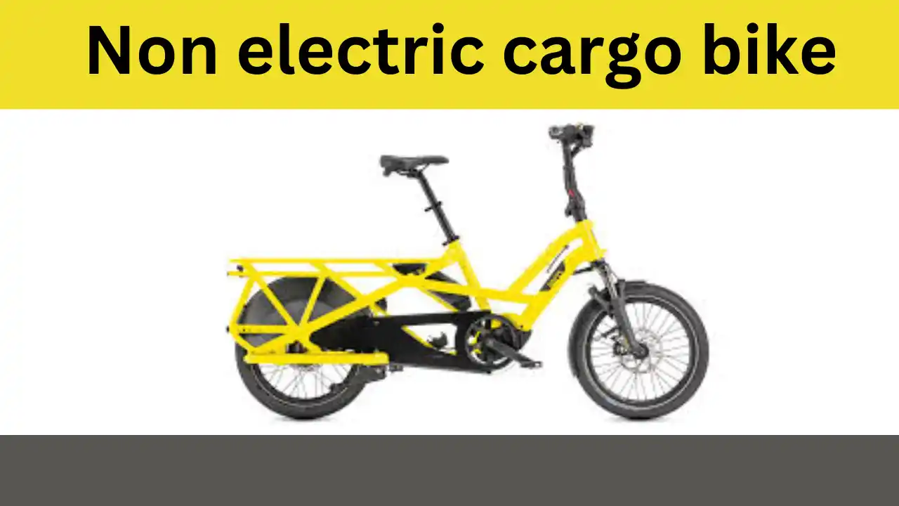 Non electric cargo bike